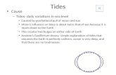 Tides Cause – Tides- daily variations in sea level Caused by gravitational pull of moon and sun Moon’s influence on tides is about twice that of sun because.