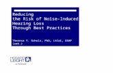 Reducing the Risk of Noise-Induced Hearing Loss Through Best Practices Theresa Y. Schulz, PhD, LtCol, USAF (ret.)
