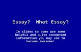 Essay? What Essay? In slides to come are some helpful and quite condensed information you may use to become awesome!