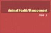 ANSC 3.  Define basic animal health terminology  Begin to Outline basic procedures for receiving and evaluating ill animals.