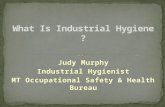 Judy Murphy Industrial Hygienist MT Occupational Safety & Health Bureau.