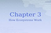 How Ecosystems Work. Section 1  Because plants make their own food, they are called producers.  Producers are also called autotrophs, or self-feeders.