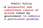 Public Policy A purposeful and consistent course of action taken by government to address a particular problem.