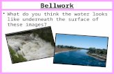 Bellwork What do you think the water looks like underneath the surface of these images?