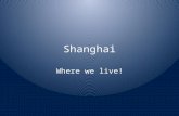 Shanghai Where we live!. Shanghai: 16 Districts, 1 County What is the name of the district where SMIC is located?