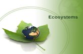 Ecosystems. Questions for Today: What are the major components of an Ecosystem? How do abiotic factors affect Ecosystems? How do biotic factors affect.