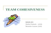 TEAM COHESIVENESS MADE BY: Shalini Prakash….(018) Monisha Gautam..(026)