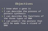 Objectives ► I know what a gene is ► I can describe the process of protein synthesis ► I can describe the functions of the three types of RNA ► I can predict.
