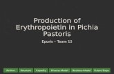 Production of Erythropoietin in Pichia Pastoris Eporis – Team 15 StructureReviewProcess ModelCapacityBusiness ModelFuture Steps.