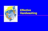 Effective Handwashing WHY WHY Should We Wash Our Hands? ? ? ?
