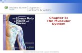 Copyright © 2013 Wolters Kluwer Health | Lippincott Williams & Wilkins Chapter 8: The Muscular System.