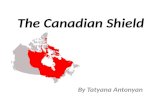 The Canadian Shield By Tatyana Antonyan. Natural Resources Copper Iron Zinc Silver Gold Lead Uranium Nickel Cobalt Tungsten Diamonds.
