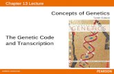 Copyright © 2009 Pearson Education, Inc. The Genetic Code and Transcription Chapter 13 Lecture Concepts of Genetics Tenth Edition.