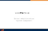 Lecture 2 Server Administration -System Component-