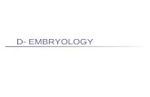 D- EMBRYOLOGY. I. EMBRYOLOGY : Deals with the period of development prior to birth (prenatal) Study of development of the embryo Period of the embryo.