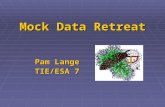 Mock Data Retreat Pam Lange TIE/ESA 7. 2 Agenda  Based on school’s need  May be ½ day/ full day/ two days  Work with district to determine needs –