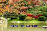 BACK TO NATURE NATURE: GOD’S OWN CREATION WE ARE DESIGNED TO LIVE IN HARMONY WITH NATURE NATURE > NATURALLY > BALANCED HAS ANSWERS FOR HUMAN NEED WE.