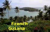 French Guiana by Samuel Vigil. Capital: Cayenne Population:217,000 Flag: Largest City : Cayenne(61550) Official Language: French Size of land: 34,421.