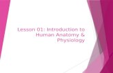 Lesson 01: Introduction to Human Anatomy & Physiology.