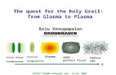 The quest for the holy Grail: from Glasma to Plasma Raju Venugopalan CATHIE-TECHQM workshop, Dec. 14-18, 2009 Color Glass Condensates Initial Singularity.