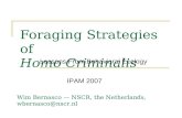 Foraging Strategies of Homo Criminalis Lessons From Behavioral Ecology Wim Bernasco — NSCR, the Netherlands, wbernasco@nscr.nl IPAM 2007.
