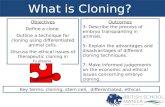 Objectives Define a clone. Outline a technique for cloning using differentiated animal cells. Discuss the ethical issues of therapeutic cloning in humans.