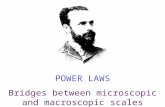 PARETO POWER LAWS Bridges between microscopic and macroscopic scales.