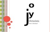 Oy What is Metadata? j of Metadata. Metadata 101 joy of Metadata ï¶ Common terms ï¶ What is metadata? ï¶ Why metadata?