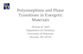 Polymorphism and Phase Transitions in Energetic Materials Thomas B. Brill Department of Chemistry University of Delaware Newark, DE 19716.