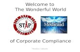Welcome to The Wonderful World Theodore J. Leibowitz of Corporate Compliance.