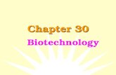 Chapter 30 Biotechnology Biotechnology is the application of scientific and engineering principles to the production of materials by biological agents.