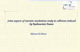 Some aspects of reaction mechanism study in collisions induced by Radioactive Beams Alessia Di Pietro.