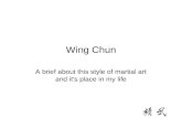 Wing Chun A brief about this style of martial art and it's place in my life.