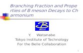1 Branching Fraction and Properties of B meson Decays to Charmonium Y. Watanabe Tokyo Institute of Technology For the Belle Collaboration.