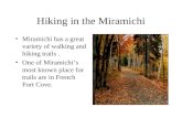 Hiking in the Miramichi Miramichi has a great variety of walking and hiking trails. One of Miramichi’s most known place for trails are in French Fort Cove.