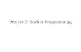 Project 2: Socket Programming. Overview Sockets Working with sockets Client-Server example Project 1 Hints.