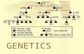 GENETICS. Genetics: The study of how traits encoded in our DNA are passed on. Used to predict the possible outcomes of a genetic cross –Depends on probability.