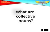 What are collective nouns? Grammar Toolkit. A collective noun names a group or collection of people or things. familyherdpair.