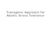 Transgenic Approach for Abiotic Stress Tolerance.