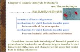Chapter 5 Genetic Analysis in Bacteria and Bacteriophages 第五章 细菌与噬菌体遗传 structure of bacterial genomes mechanisms by which bacteria transfer genes between.