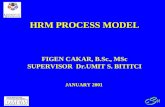 HRM PROCESS MODEL FIGEN CAKAR, B.Sc., MSc SUPERVISOR Dr.UMIT S. BITITCI JANUARY 2001 JANUARY 2001.