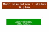 Muon simulation : status & plan Partha Pratim Bhaduri Subhasis Chattopadhyay VECC, Kolkata.
