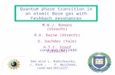 Quantum phase transition in an atomic Bose gas with Feshbach resonances M.W.J. Romans (Utrecht) R.A. Duine (Utrecht) S. Sachdev (Yale) H.T.C. Stoof (Utrecht)