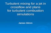 Turbulent mixing for a jet in crossflow and plans for turbulent combustion simulations James Glimm.