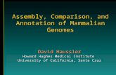 David Haussler Howard Hughes Medical Institute University of California, Santa Cruz Assembly, Comparison, and Annotation of Mammalian Genomes.