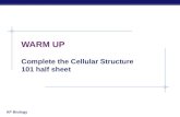 AP Biology WARM UP Complete the Cellular Structure 101 half sheet.