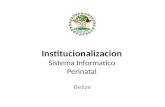 Institucionalizacion Institucionalizacion Sistema Informatico Perinatal Belize.