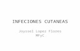 INFECIONES CUTANEAS Joyssel Lopez Flores MFyC. GENERALIDADES La piel y sus anejos constituyen la principal barrera estructural de defensa del organismo.