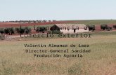 La importancia del comercio exterior Valentin Almansa de Lara Director General Sanidad Producción Agraria.