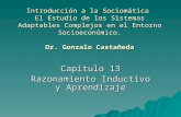 Introducción a la Sociomática El Estudio de los Sistemas Adaptables Complejos en el Entorno Socioeconómico. Dr. Gonzalo Castañeda Capítulo 13 Razonamiento.